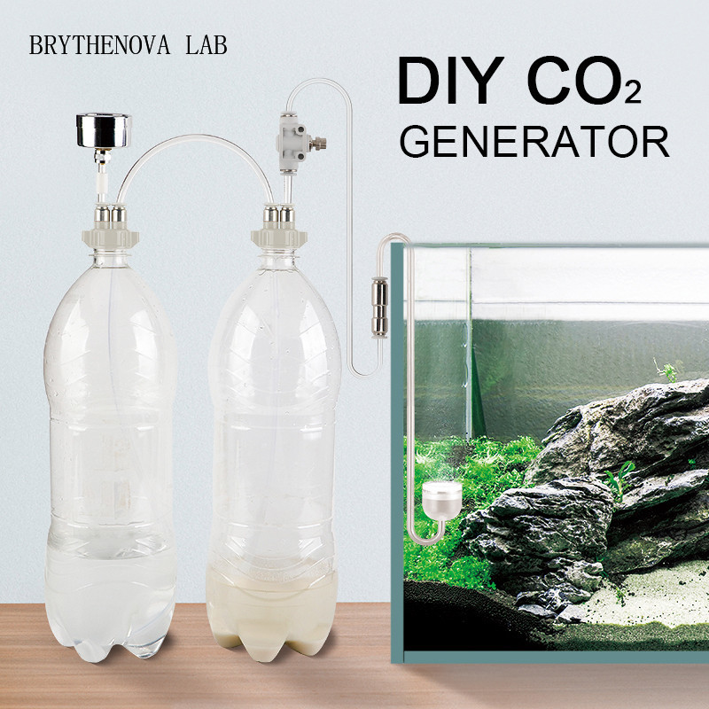 Planted Aquarium Moss - Generatore di CO2 per Acquario, Kit