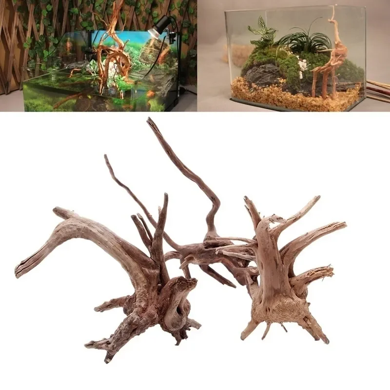 Planted Aquarium Media - Tronco d'albero naturale Driftwood acquario acquario