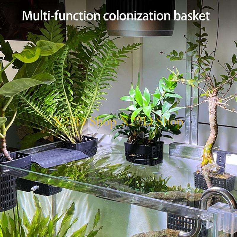 Aquarium Plant In Pot - X22D Contenitore da parete in plastica