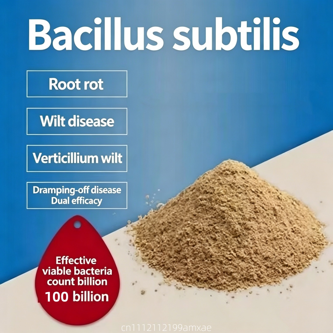 Aquarium Plant Root Fertilizer - Polvere di Bacillus Subtilis ad alta
