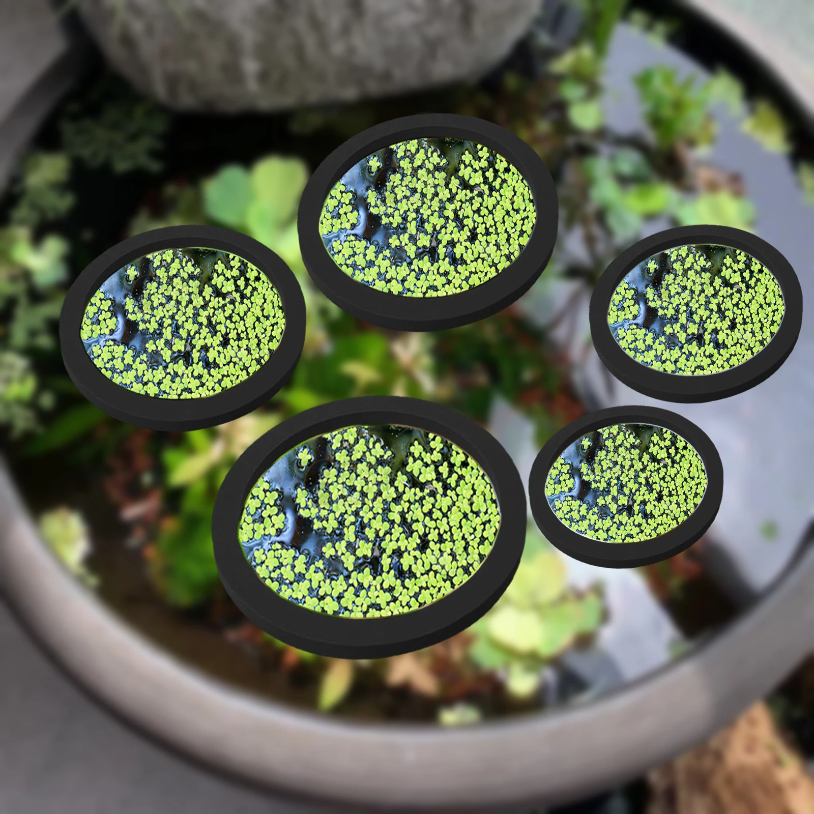 Aquarium Planted - 5 pz EVA Anello di Alimentazione