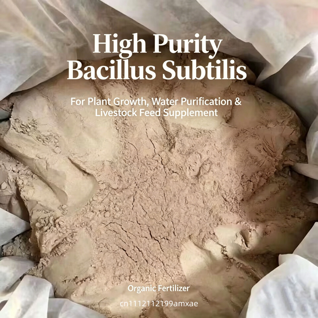 Aquarium Plant Root Fertilizer - Fertilizzante in Polvere Probiotico di Bacillus