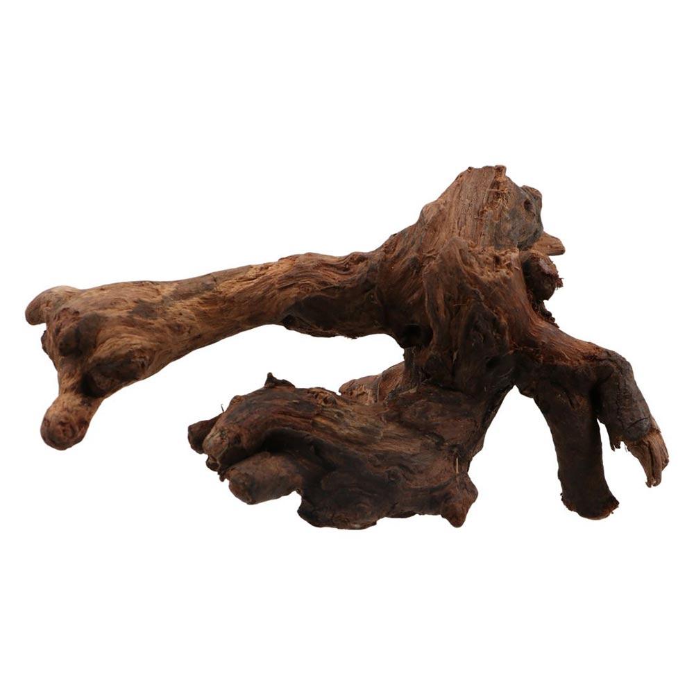 Planted Aquarium Media - Radici di Pino Naturale a Forma