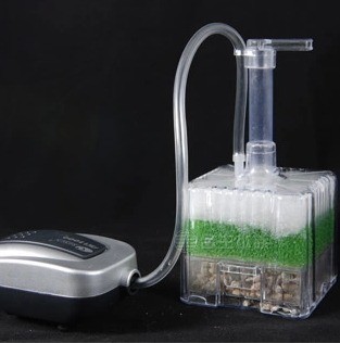 xinyou xy-2011 Acquario per ac - Aquarium Plant Ideas recensione e prezzo