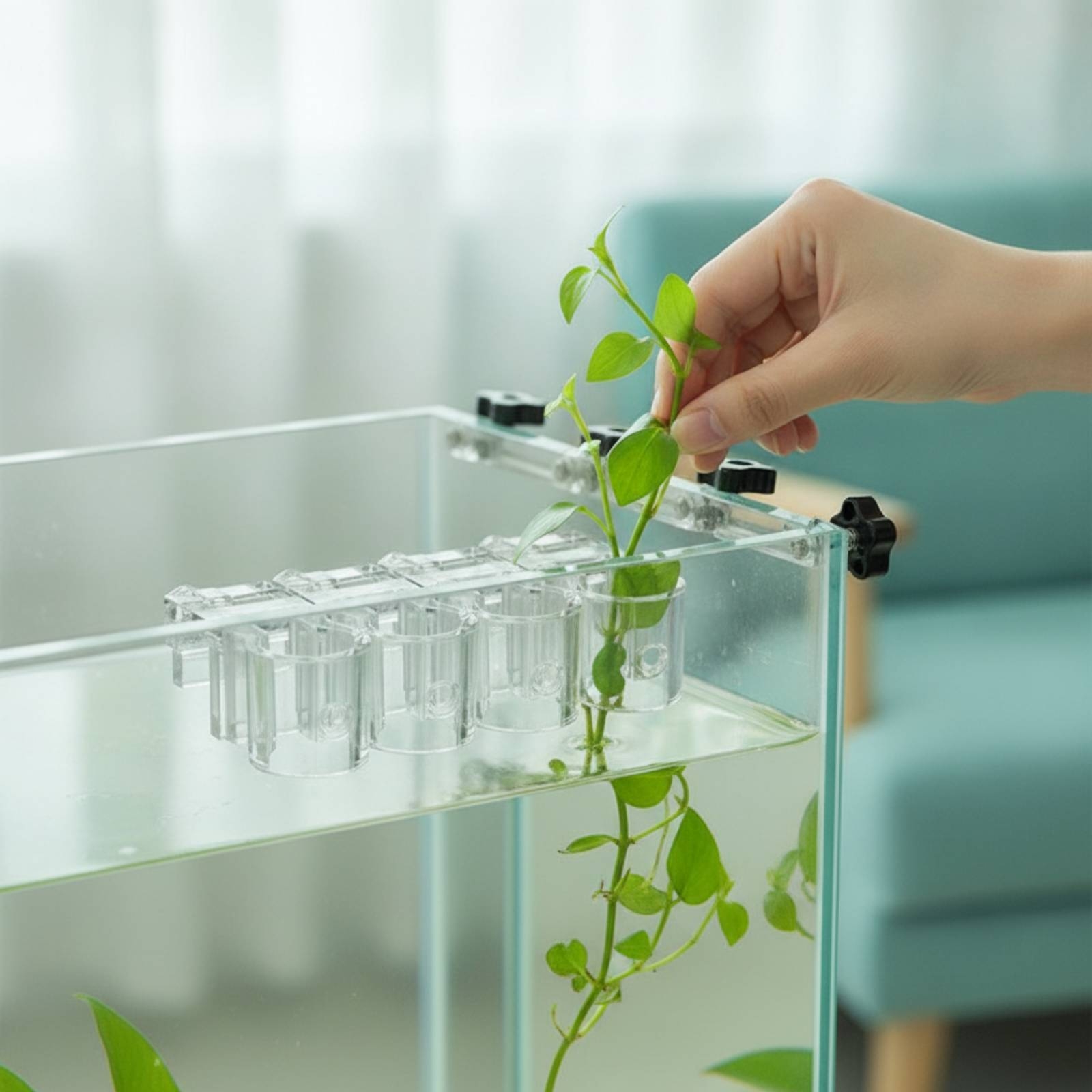 Set di 6 Supporti per Piante A - Aquarium Planted recensione e prezzo
