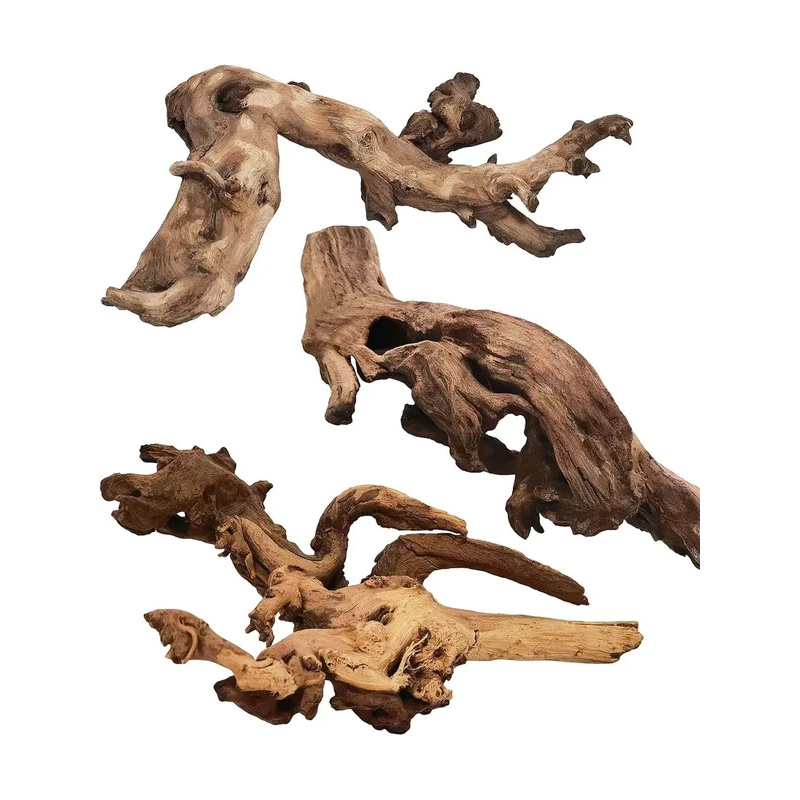 Legno Naturale per Decorazione - Planted Aquarium Media recensione e prezzo