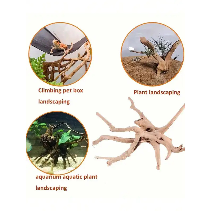 Legno Naturale per Decorazione - Planted Aquarium Media recensione e prezzo