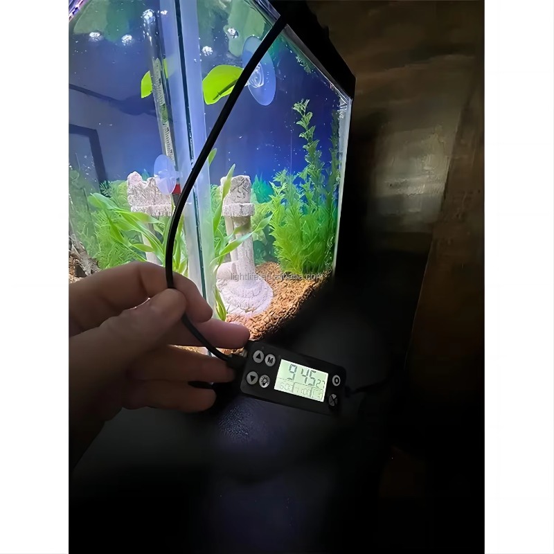Luce LED per Acquario a Ciclo  - Planted Aquarium Cycling recensione e prezzo