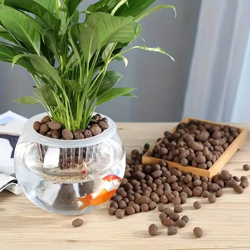 Pellet di terracotta leggeri e - Aquarium Planted recensione e prezzo