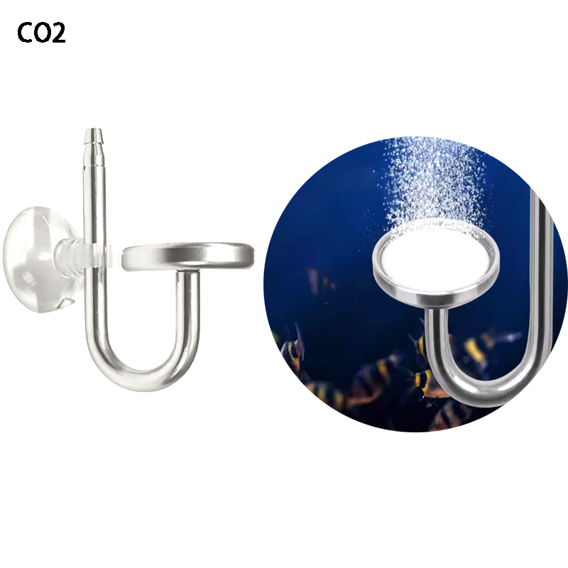 Atomizzatore CO2 per Acquario  - Aquarium Plant No Co2 recensione e prezzo