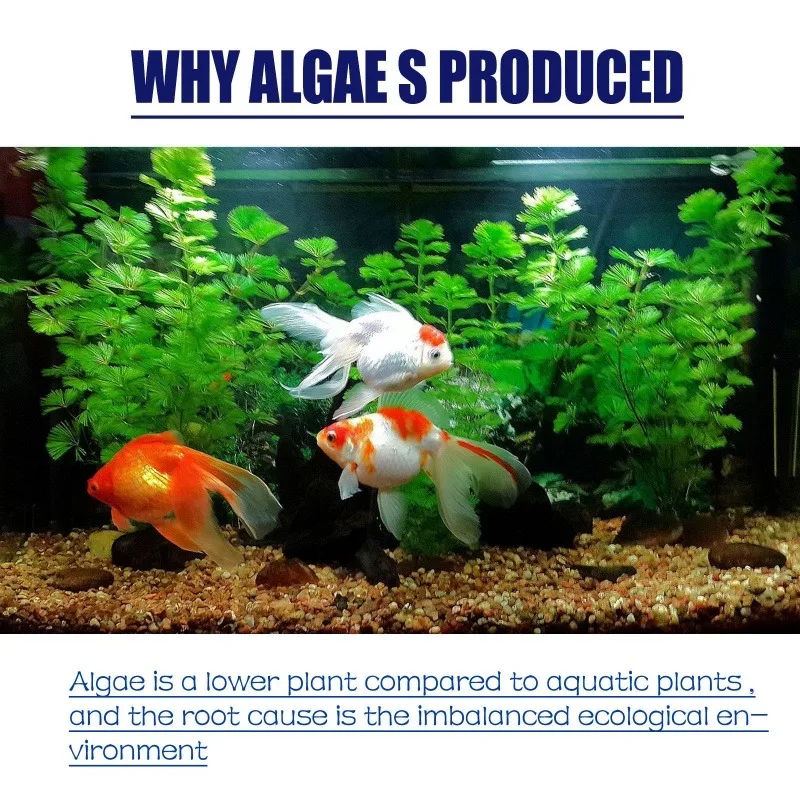 Algaecida ad alta efficienza d - Planted Aquarium Moss recensione e prezzo