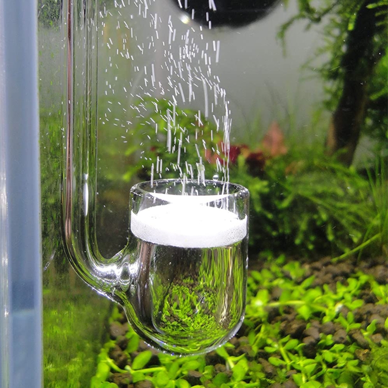 D0AD Diffusore CO2 in vetro pe - Aquarium Plant No Co2 recensione e prezzo