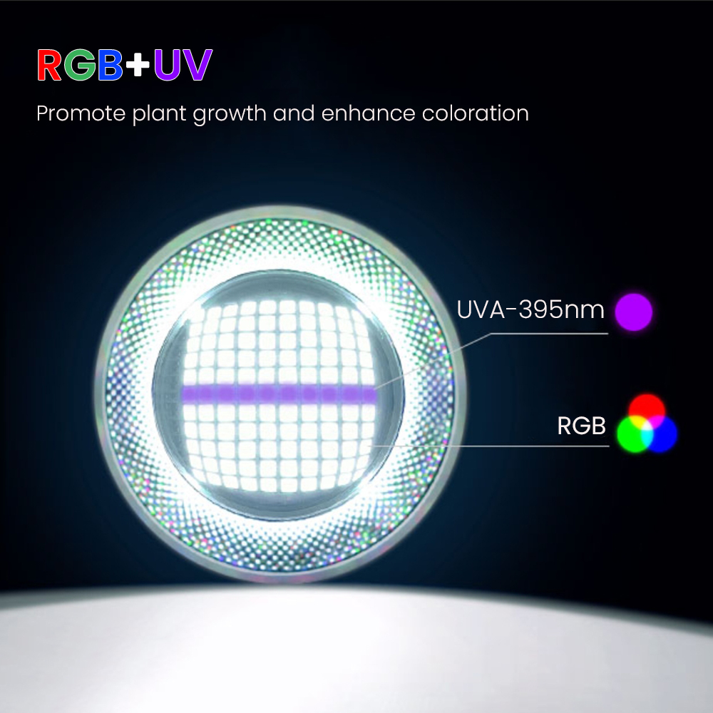 Luce LED per acquario piantato - Aquarium Planted recensione e prezzo