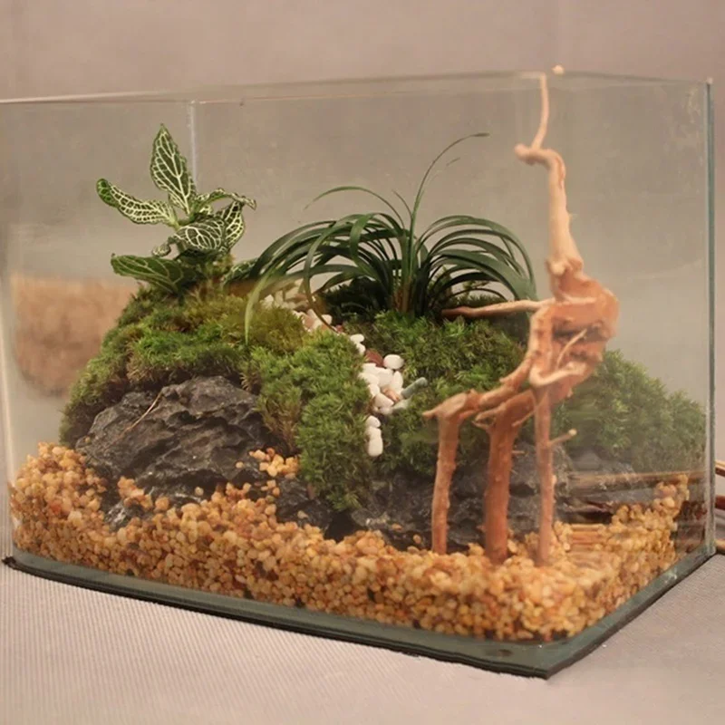 Tronco d'albero naturale Drift - Planted Aquarium Media recensione e prezzo