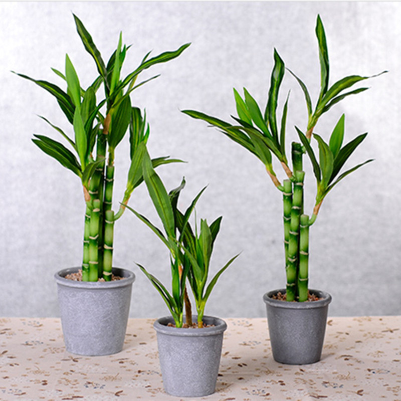 Nuova Pianta Artificiale di Ba - Aquarium Plant In Pot recensione e prezzo