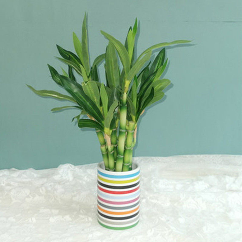 Nuova Pianta Artificiale di Ba - Aquarium Plant In Pot recensione e prezzo