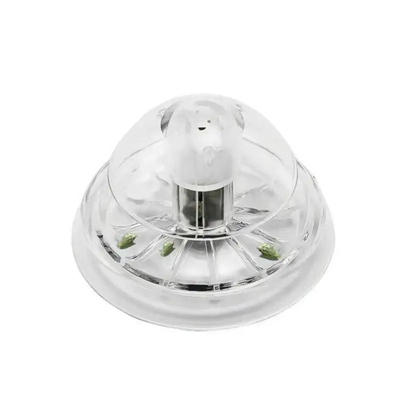 Nuova Trappola per Lumache in  - Aquarium Plant In Pot recensione e prezzo