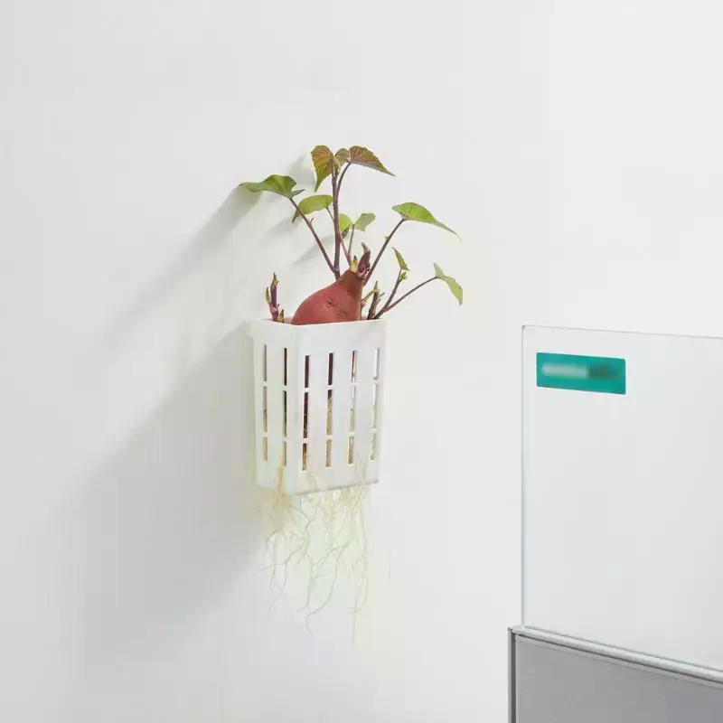 1 Pezzo Cestino di Supporto Id - Aquarium Planted recensione e prezzo