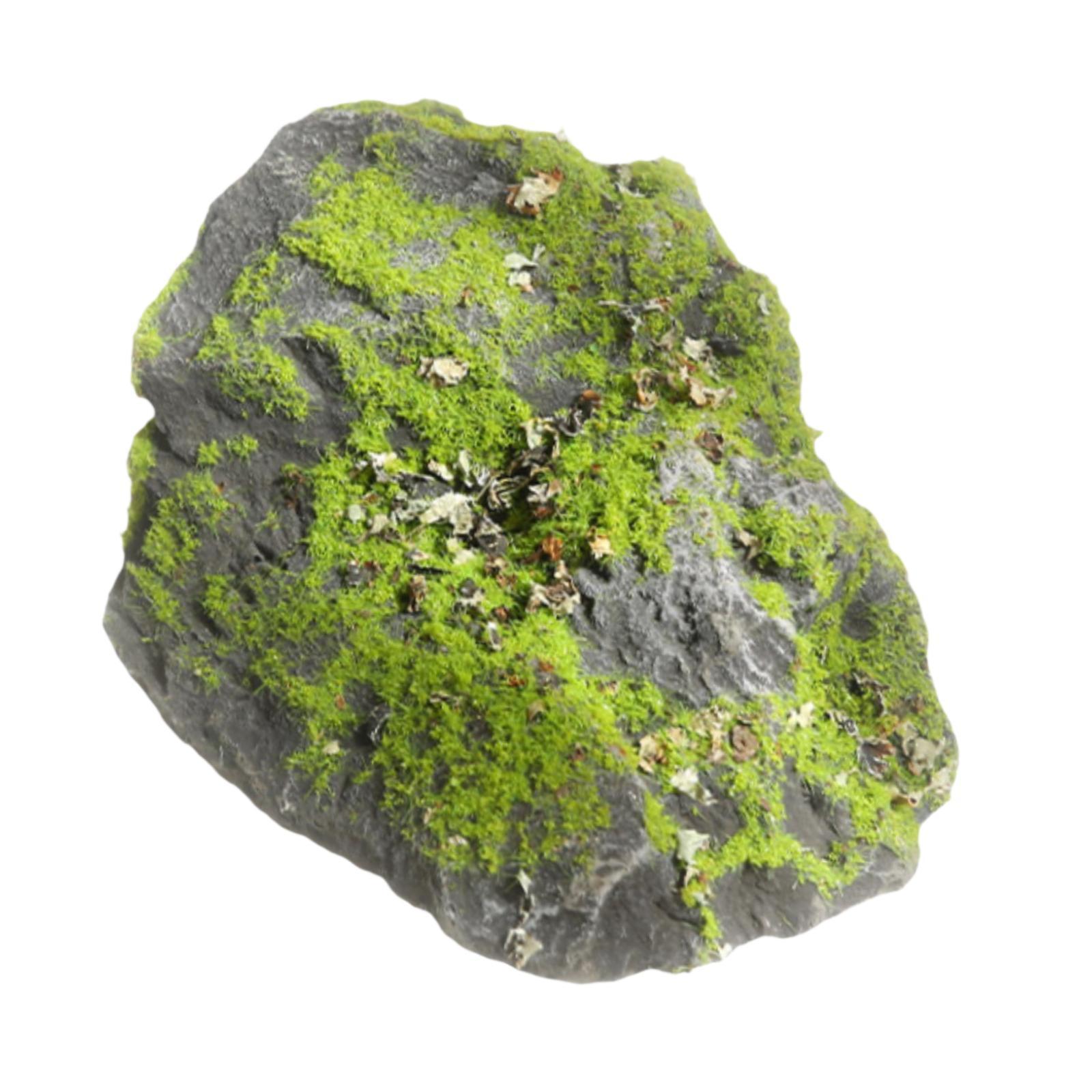 Pietra di Muschio Finta Realis - Planted Aquarium Moss recensione e prezzo
