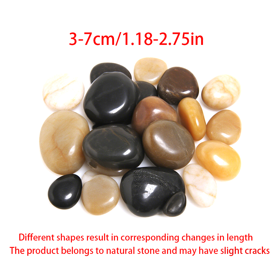 300-700g di Ciottoli di Fiume  - Aquarium Plant In Pot recensione e prezzo