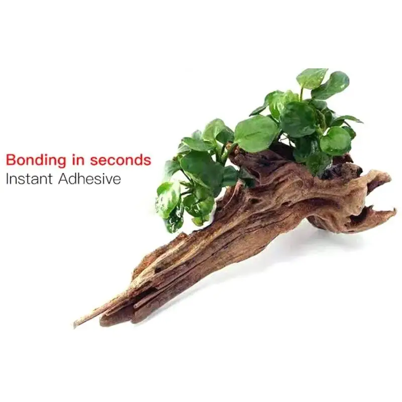 2/5 Pezzi Colla Trasparente pe - Planted Aquarium Moss recensione e prezzo