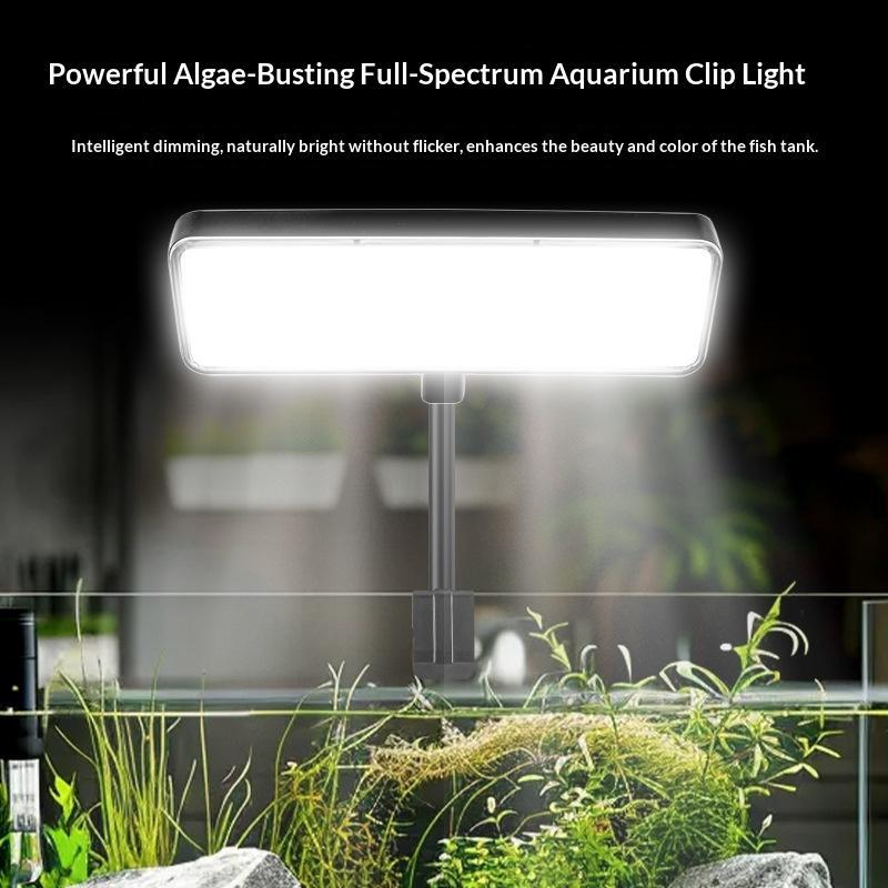 Lampada LED per acquario con a - Planted Aquarium Cycling recensione e prezzo