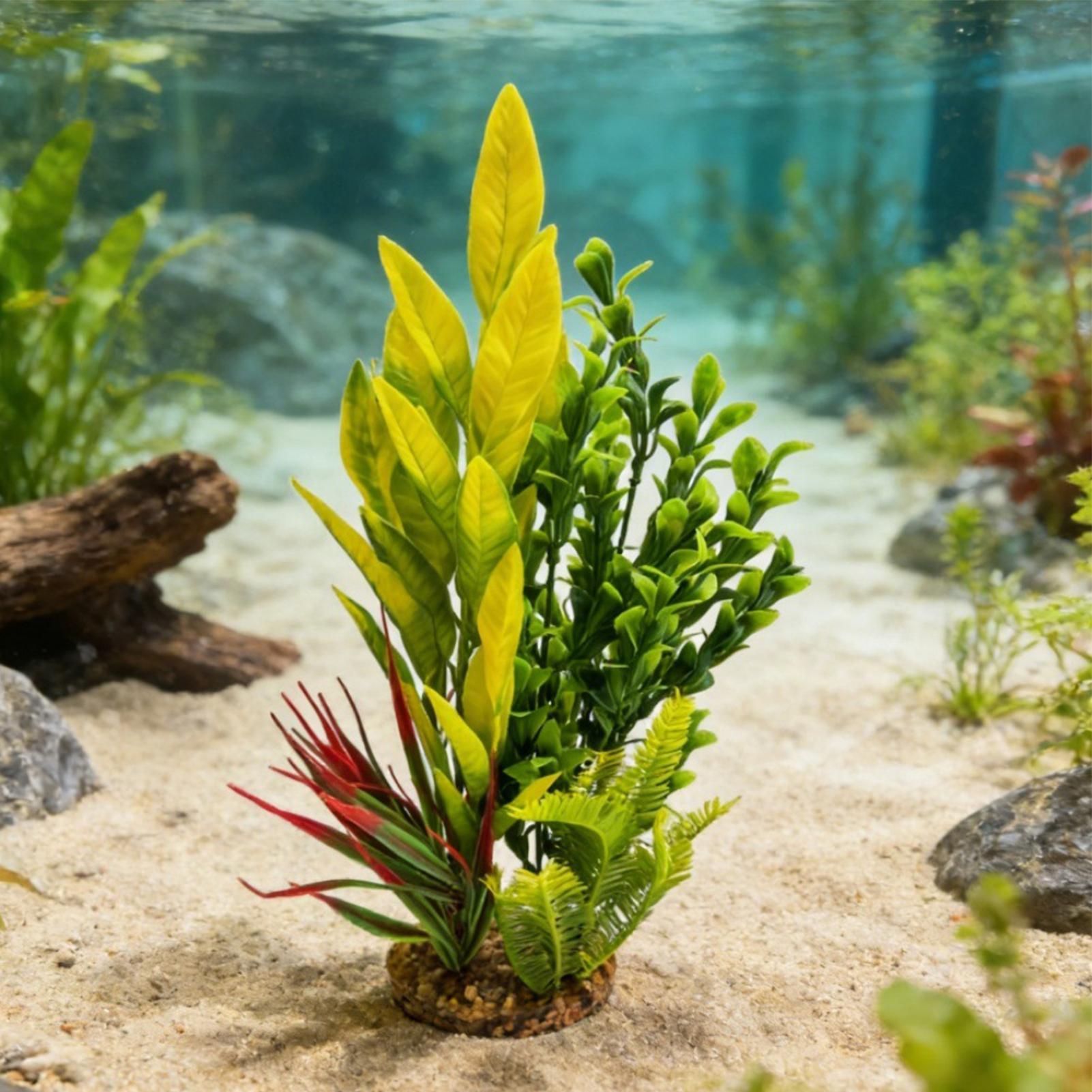 Piante Artificiali per Acquari - Planted Aquarium For Beginners recensione e prezzo