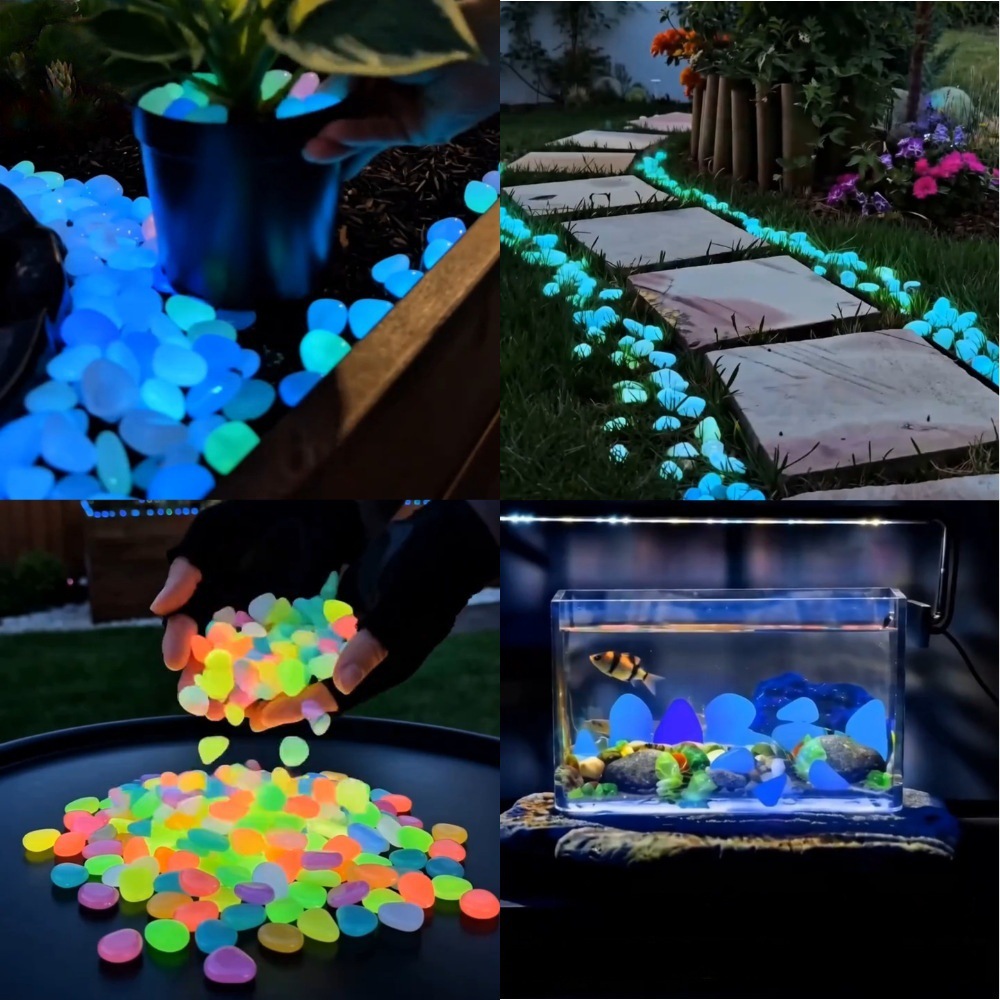 Ciottoli luminosi colorati che - Aquarium Planted recensione e prezzo