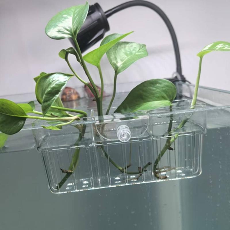 Cestino per Piante Idroponiche - Aquarium Planted recensione e prezzo