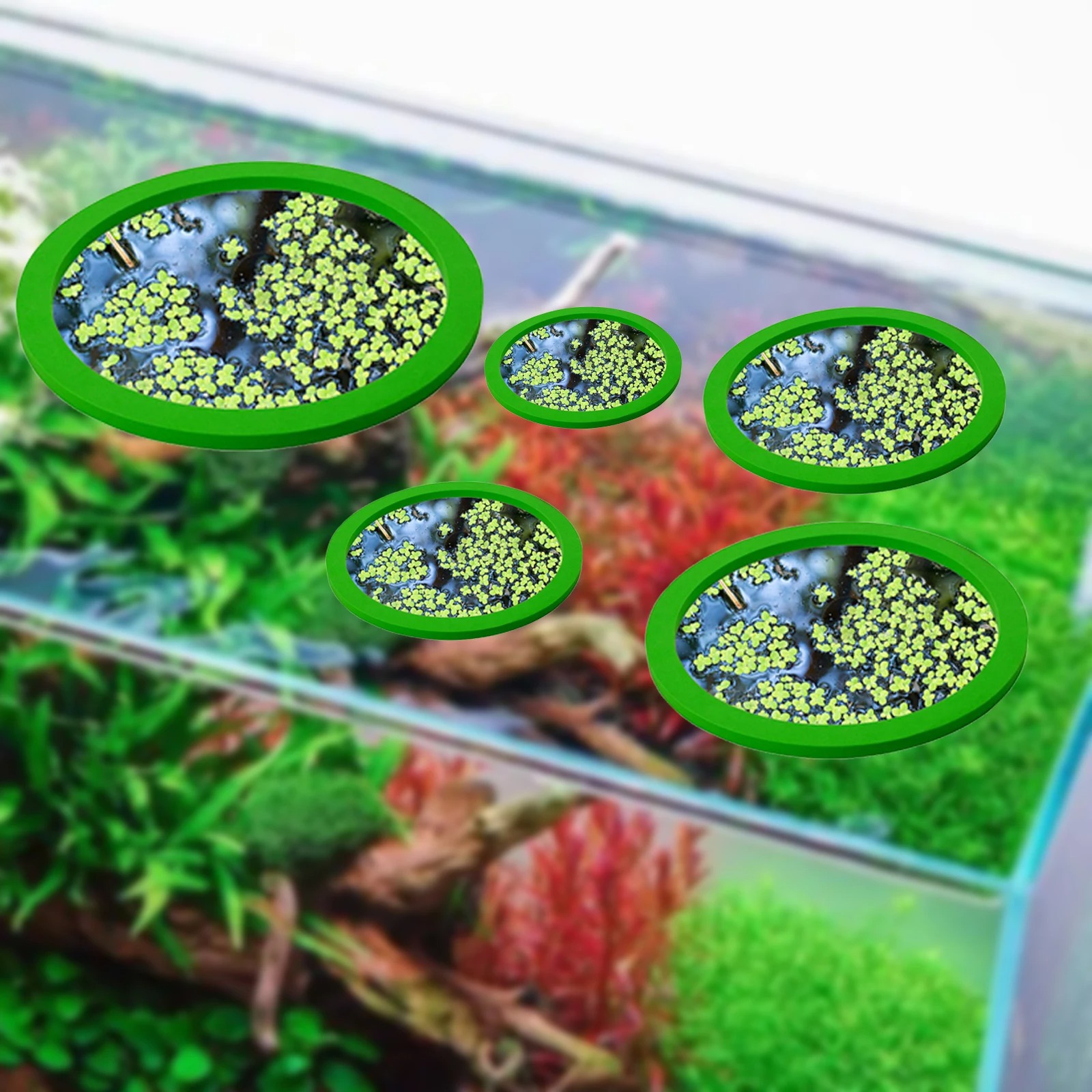 5 pz EVA Anello di Alimentazio - Aquarium Planted recensione e prezzo
