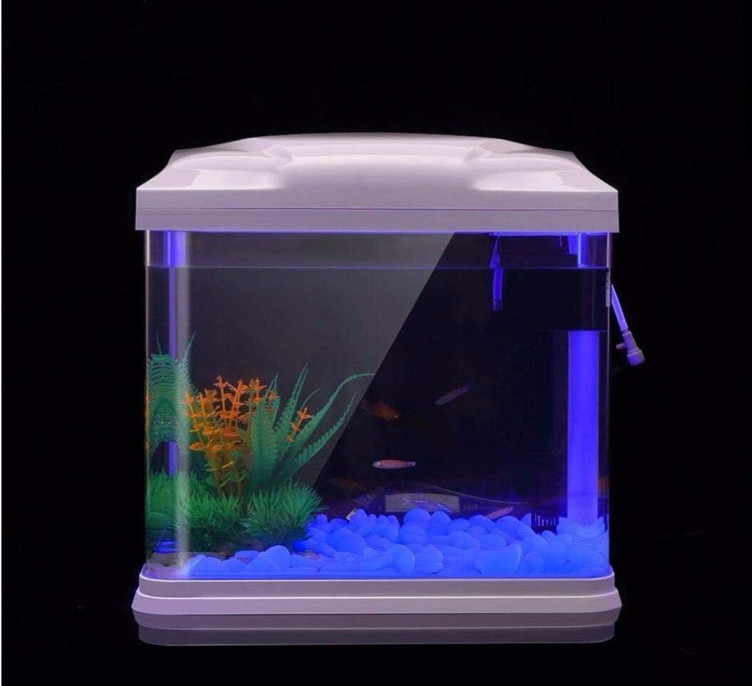 Rocce per acquari che si illum - Aquarium Planted recensione e prezzo