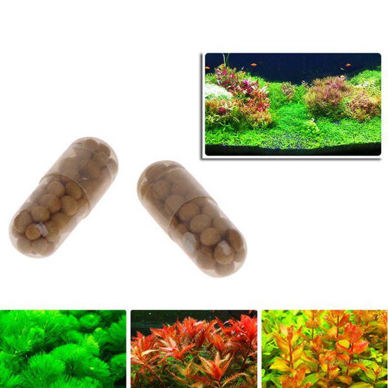 QX2E Acquario Pianta Viva Fert - Aquarium Plant Root Fertilizer recensione e prezzo