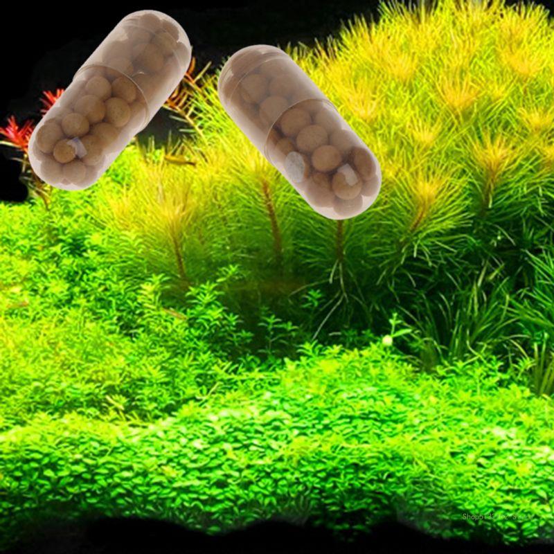 QX2E Acquario Pianta Viva Fert - Aquarium Plant Root Fertilizer recensione e prezzo