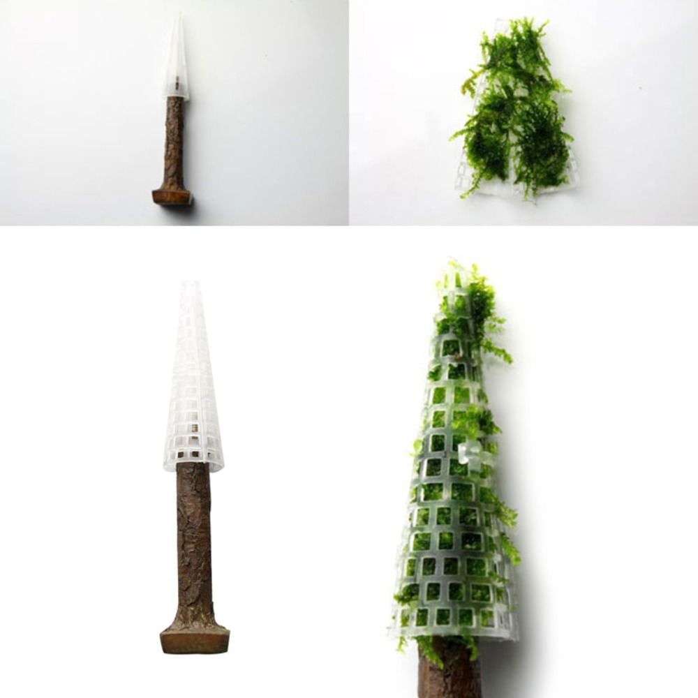 Albero di Natale Simulato per  - Planted Aquarium Moss recensione e prezzo