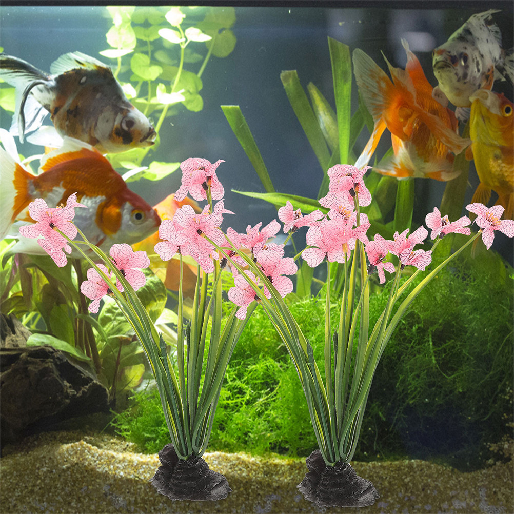 3 pezzi di decorazioni realist - Planted Aquarium For Beginners recensione e prezzo