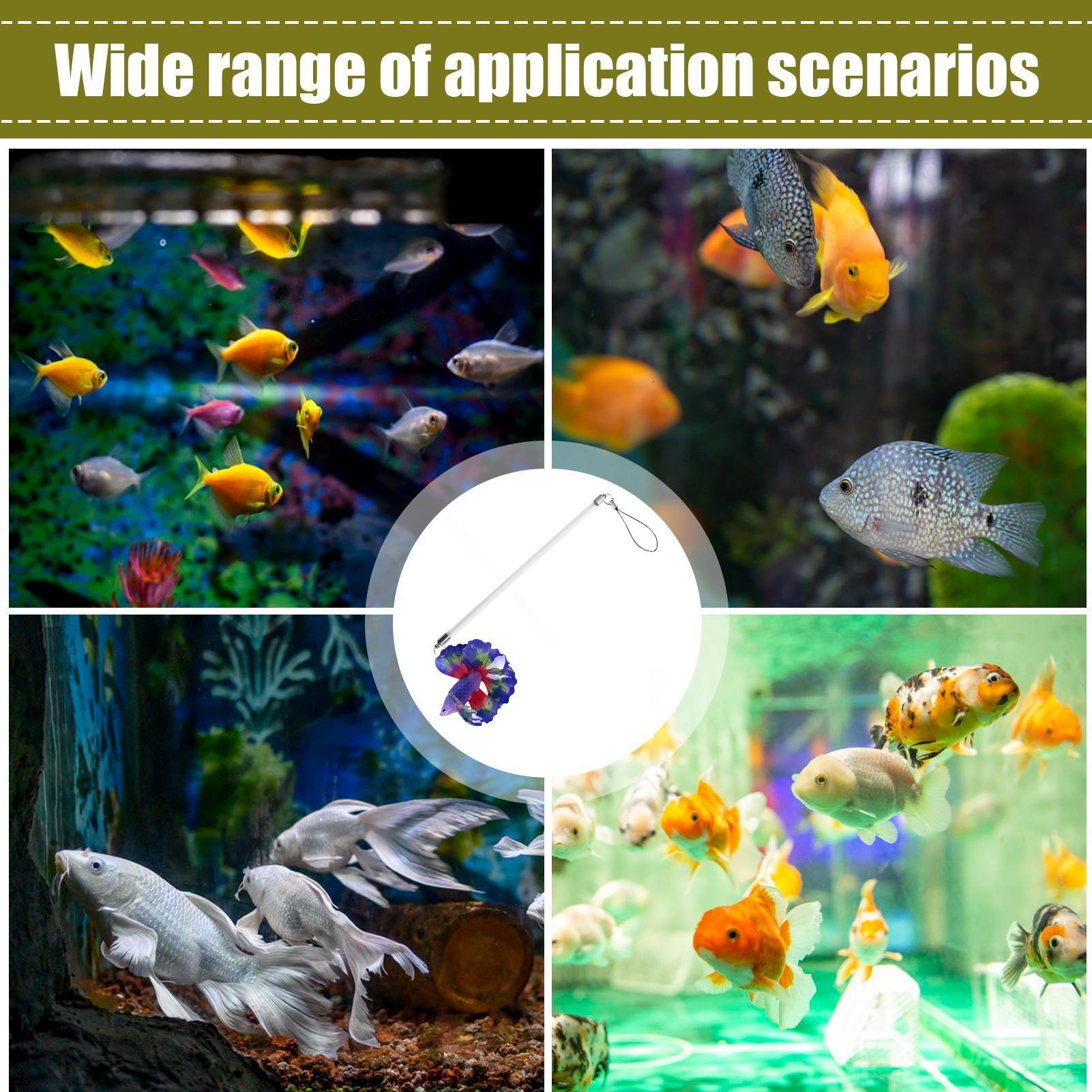 Bacchetta per l'allenamento de - Planted Aquarium For Beginners recensione e prezzo