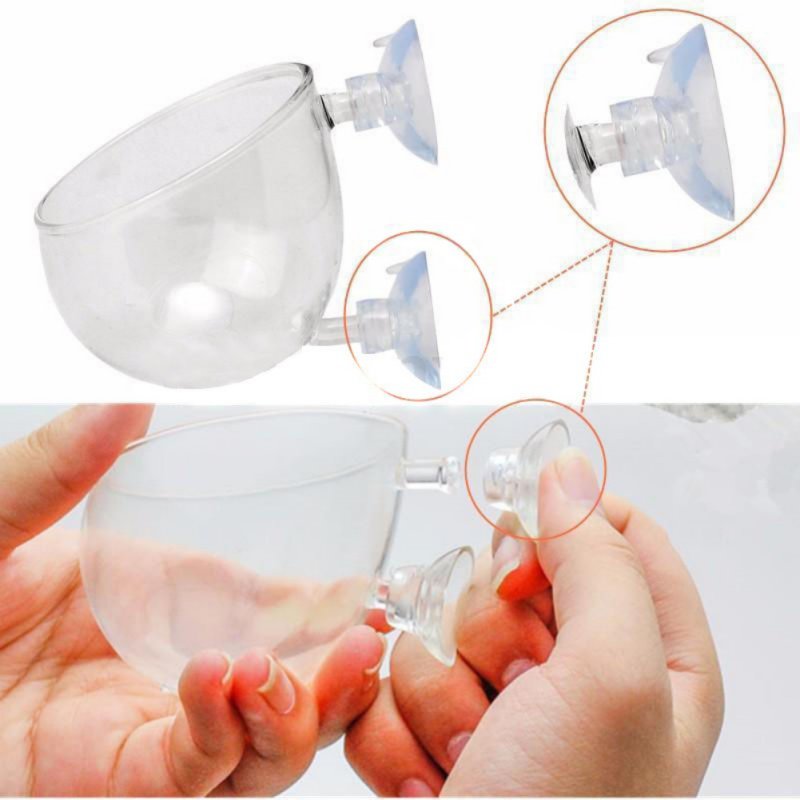 Acquario appeso vaso per piant - Planted Aquarium Moss recensione e prezzo