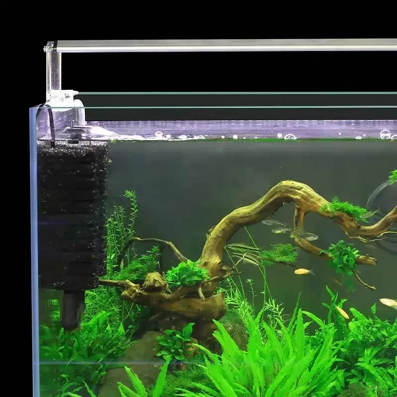 3-IN-1 Clip su filtro di energ - Planted Aquarium Media recensione e prezzo