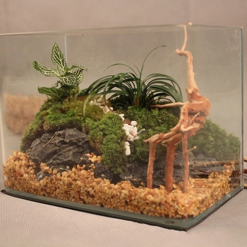 Tronco di albero naturale Drif - Planted Aquarium Making recensione e prezzo