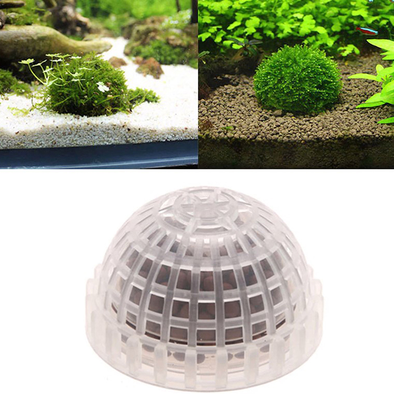 【B】Accessori per animali acqua - Planted Aquarium Moss recensione e prezzo