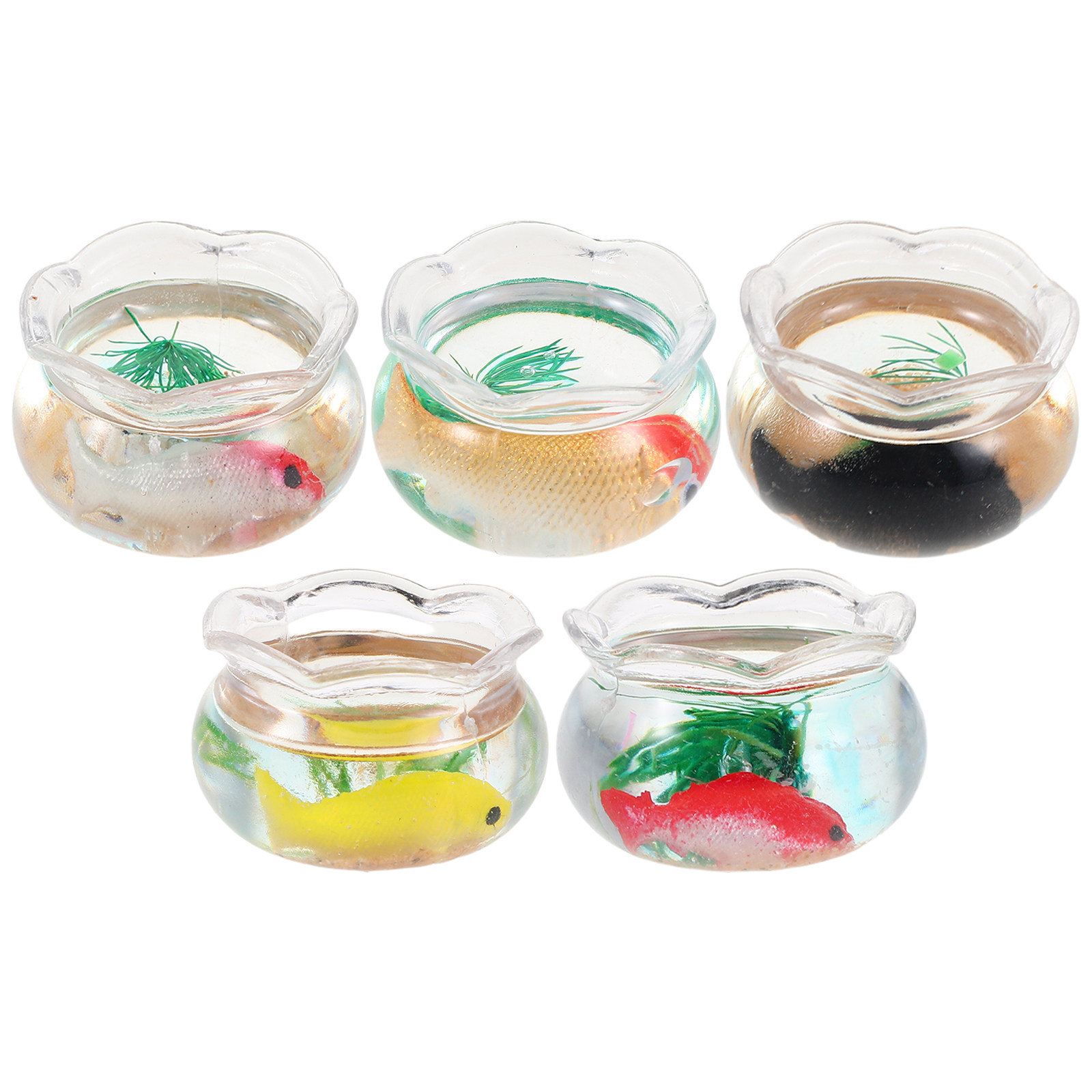 5 Pezzi di Mini Acquari Rotond - Aquarium Planted recensione e prezzo