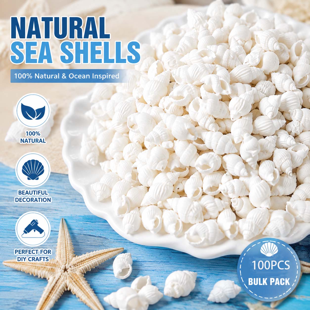 Mini Conchiglie Bianche Natura - Planted Aquarium Making recensione e prezzo