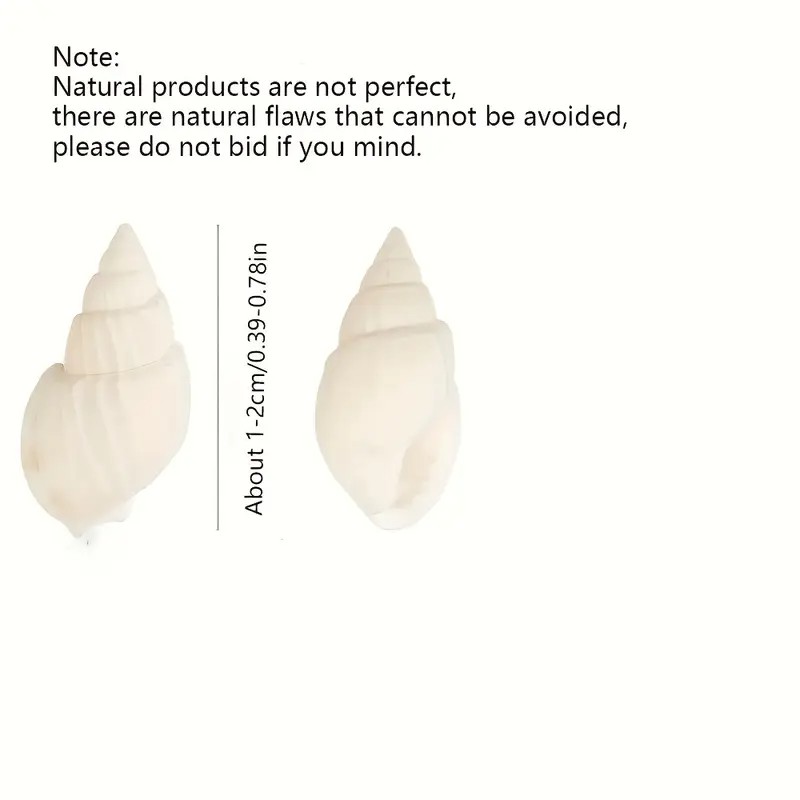 Mini Conchiglie Bianche Natura - Planted Aquarium Making recensione e prezzo